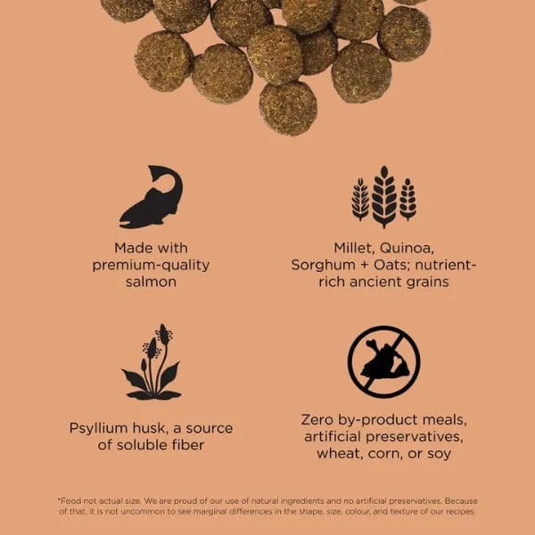 Go! Solutions Digestion + Gut Health Salmon Recipe Dry Dog Food with Ancient Grains - Supports Healthy Digestion for Dogs with Sensitive Stomachs - Perfect for Adult Dogs & Puppies with Allergies or Food Sensitivities
