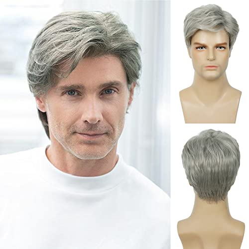 Baruisi Men's Short Silver Gray Synthetic Heat Resistant Wig for Halloween Cosplay, Costume Parties & Theatrical Performances - Natural Look & Comfortable Fit