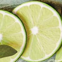 Sage Lime