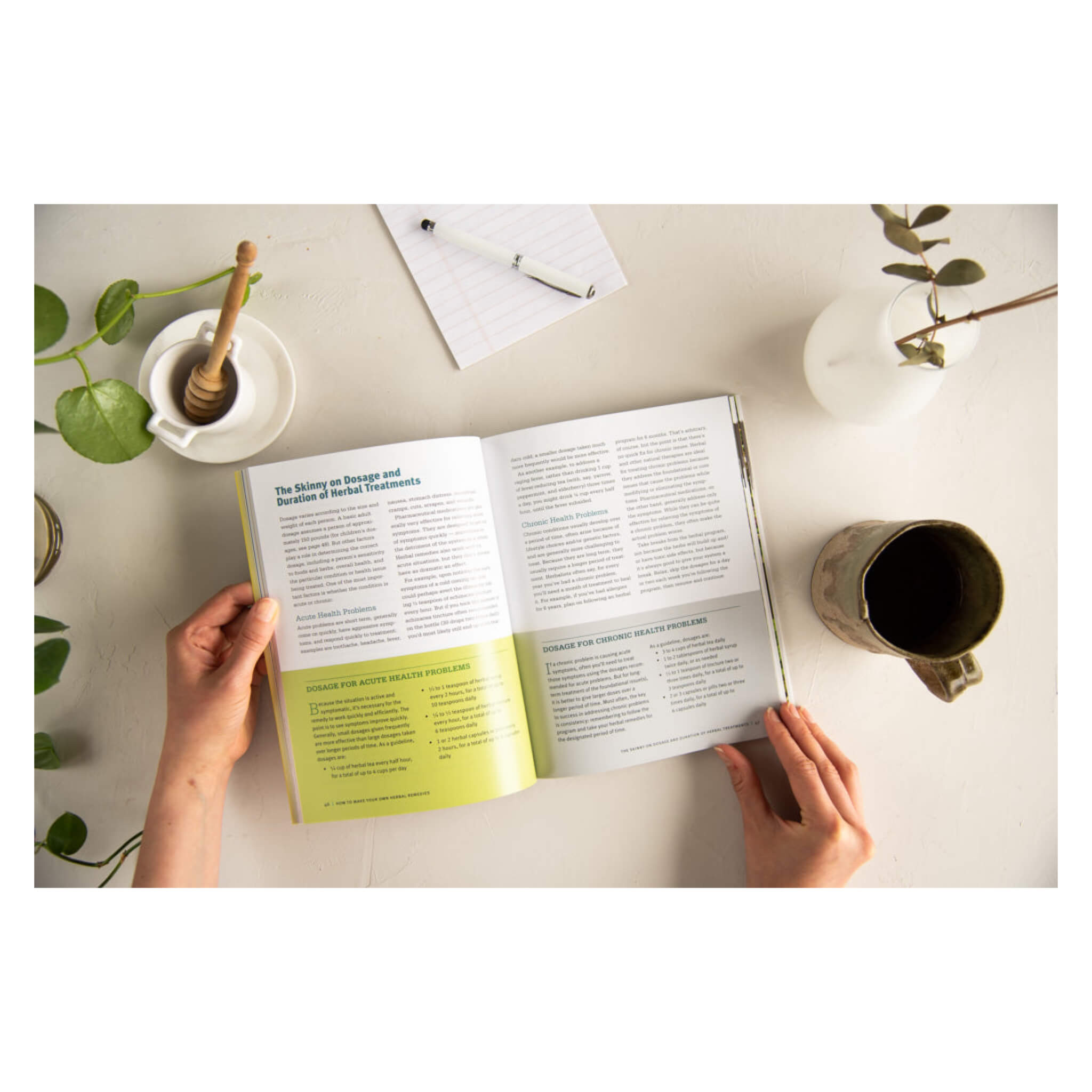 Medicinal Herbs for Beginners: Complete Guide to Natural Healing & Herbal Remedies | Home Wellness & Holistic Health
