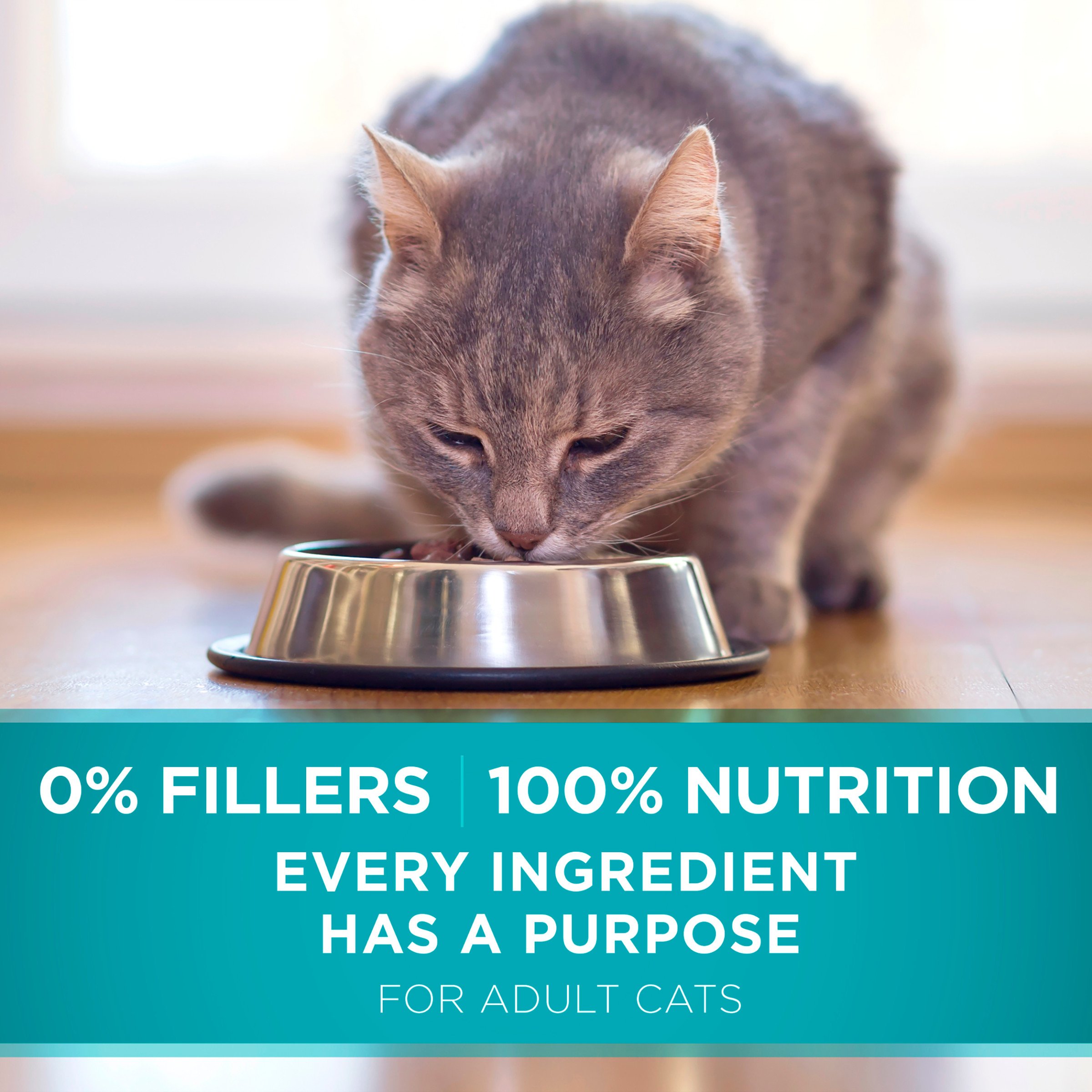 Purina ONE Natural Dry Cat Food with Real Chicken - Tender Selects Blend, 7 lb Bag - High Protein Nutrition for Adult Cats, Indoor & Outdoor Use