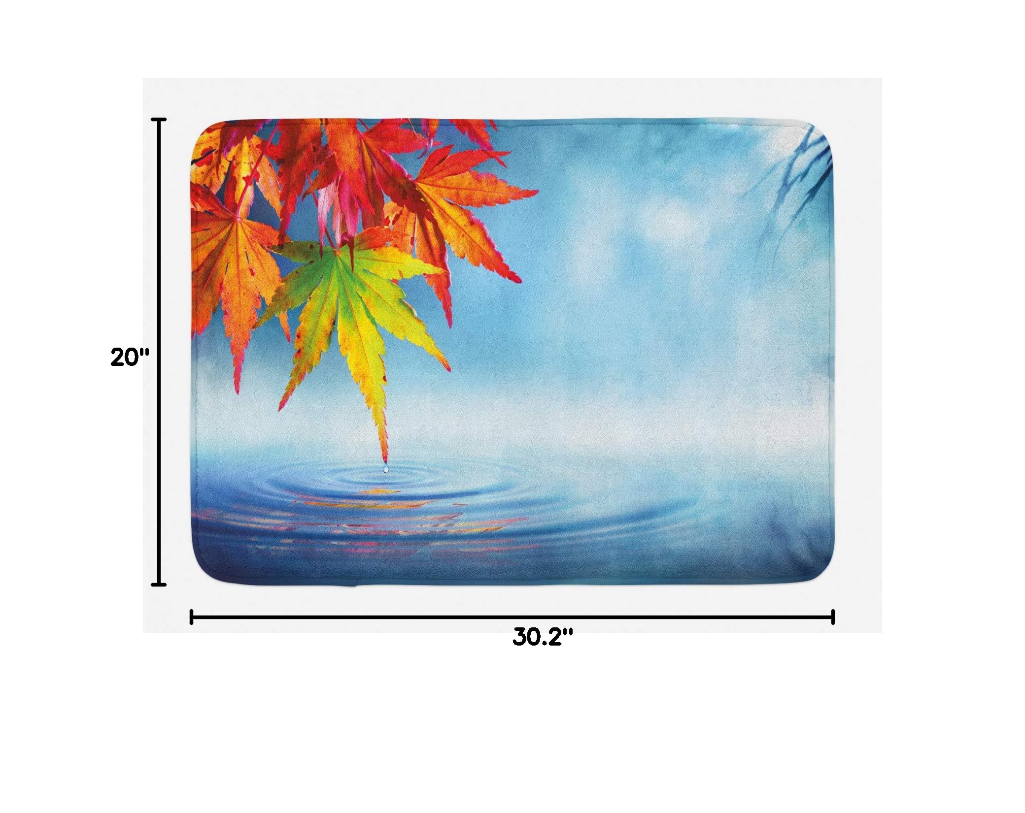 Ambesonne Fall Leaves Bath Mat with Non-Slip Backing, 30.2