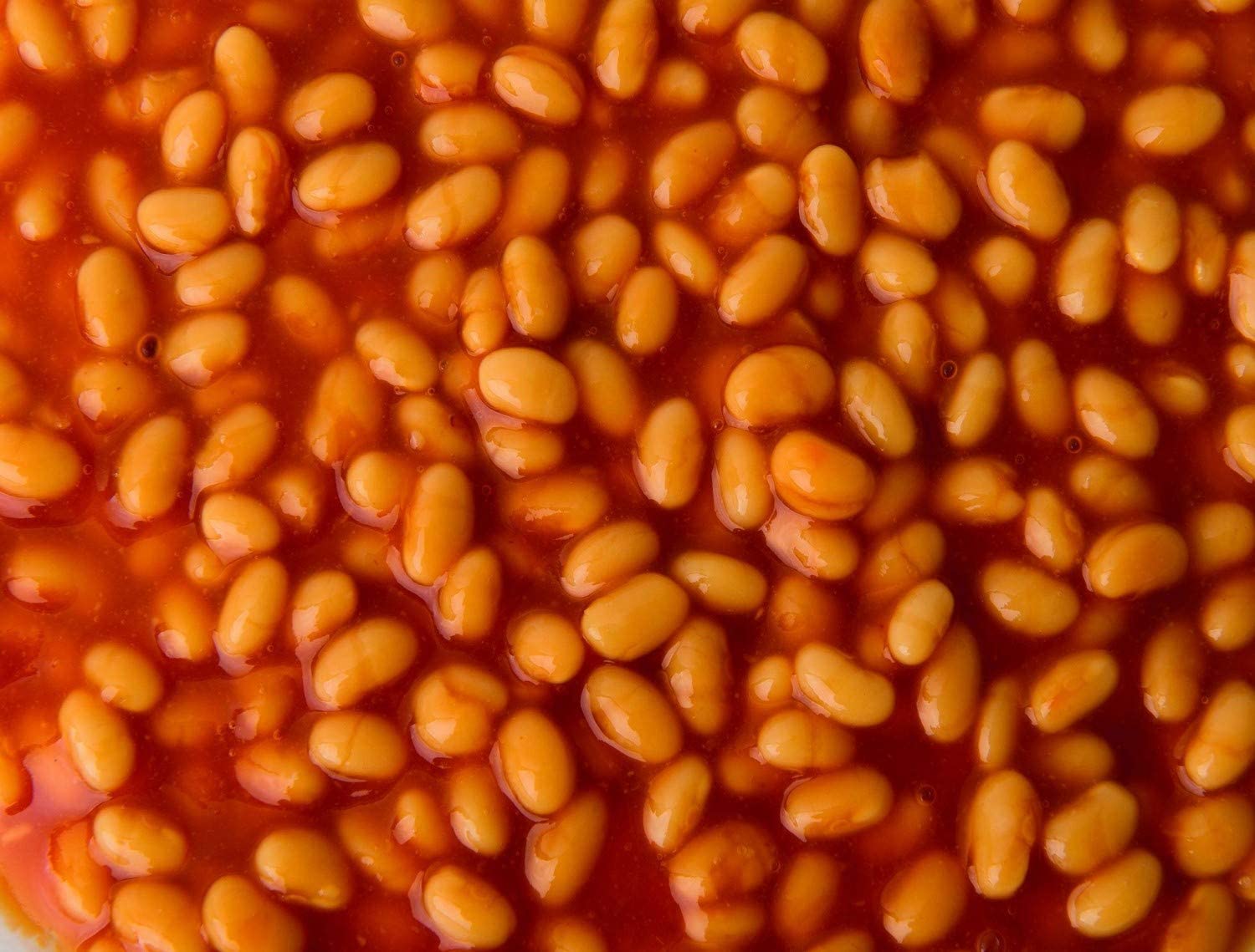 1000 Piece Baked Beans Jigsaw Puzzle - Extra Hard Adult Puzzle Challenge - 19.7
