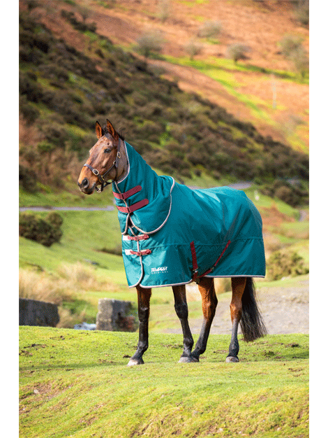 Shires Tempest Medium Weight Turnout Rug & Neck Cover - Waterproof Horse Blanket for Winter Riding and Stable Use