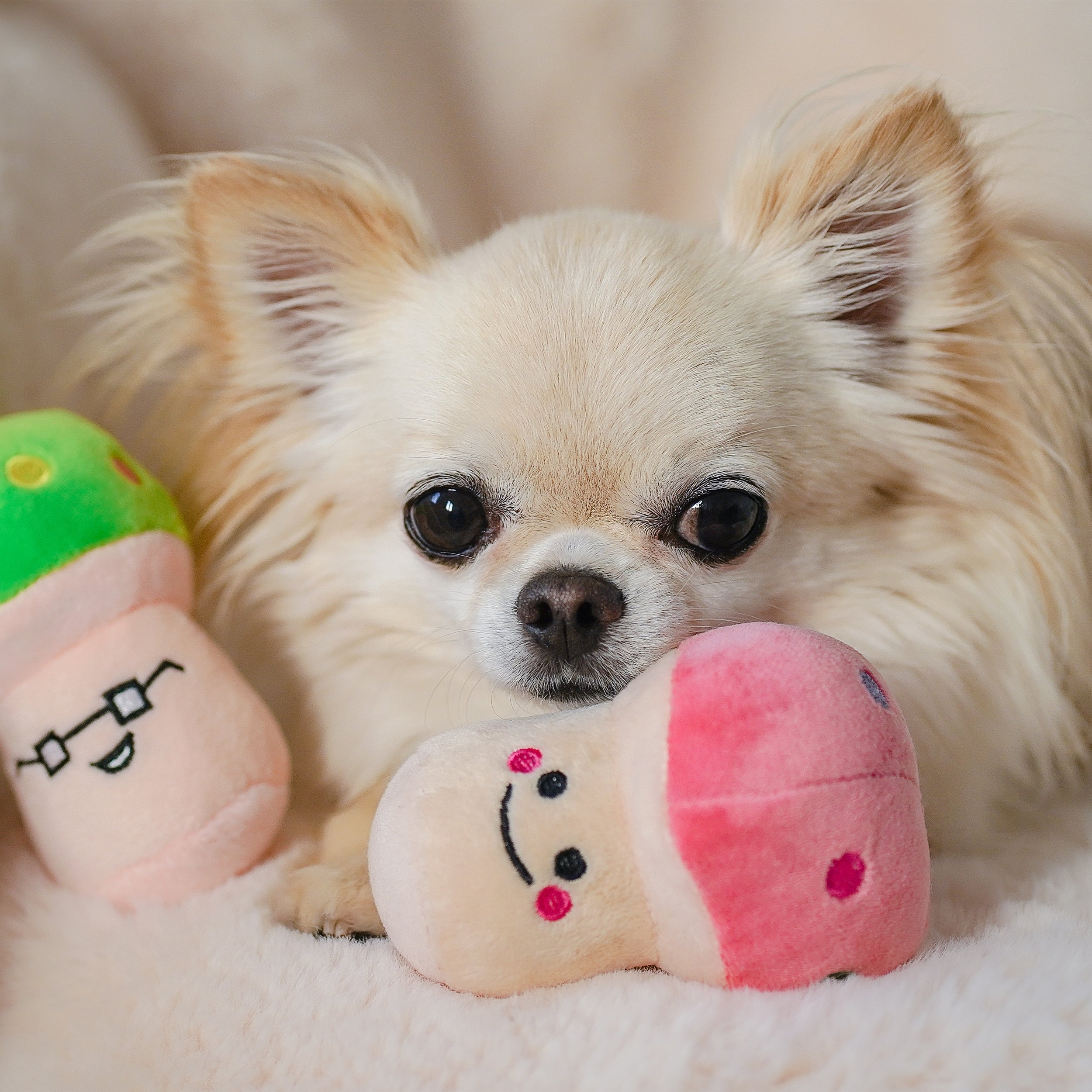 Soft Plush Mushroom Squeaky Dog Toy - Cute & Durable Chew Toy for Small & Medium Dogs - Perfect for Playtime, Training & Gifts