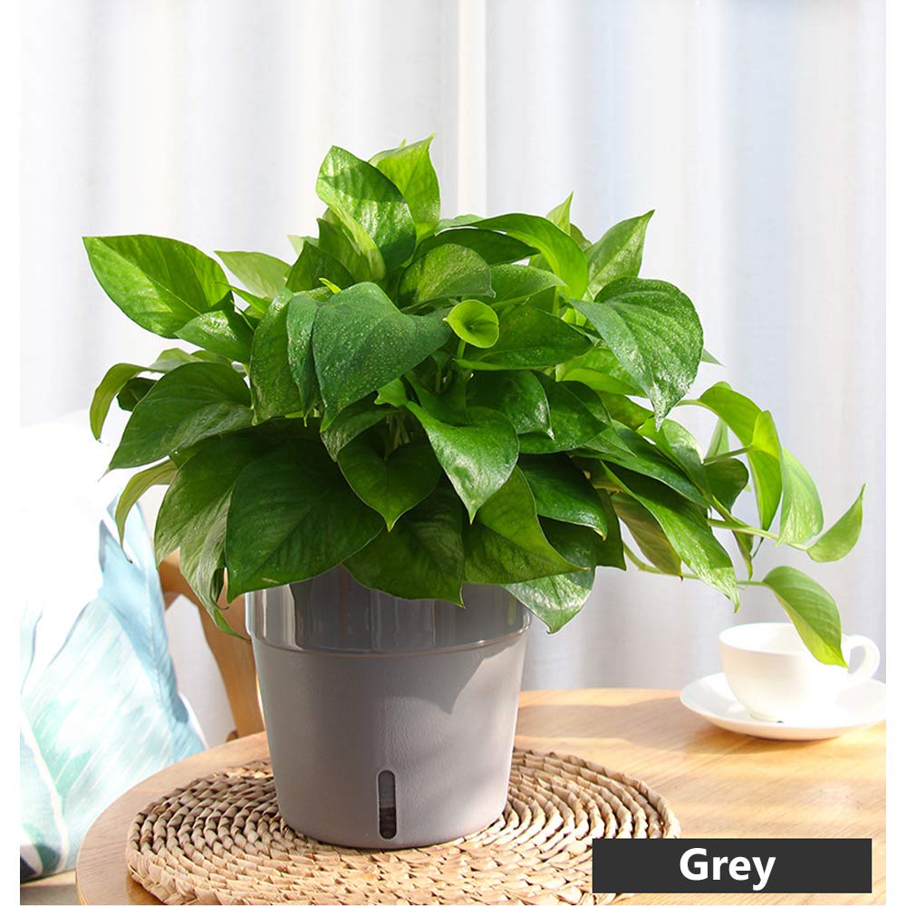 3 Pack Self Watering Planters with Water Level Indicator - 4 Inch Modern Indoor Flower Pots in Gray - Perfect for Home, Office, and Kitchen Decor