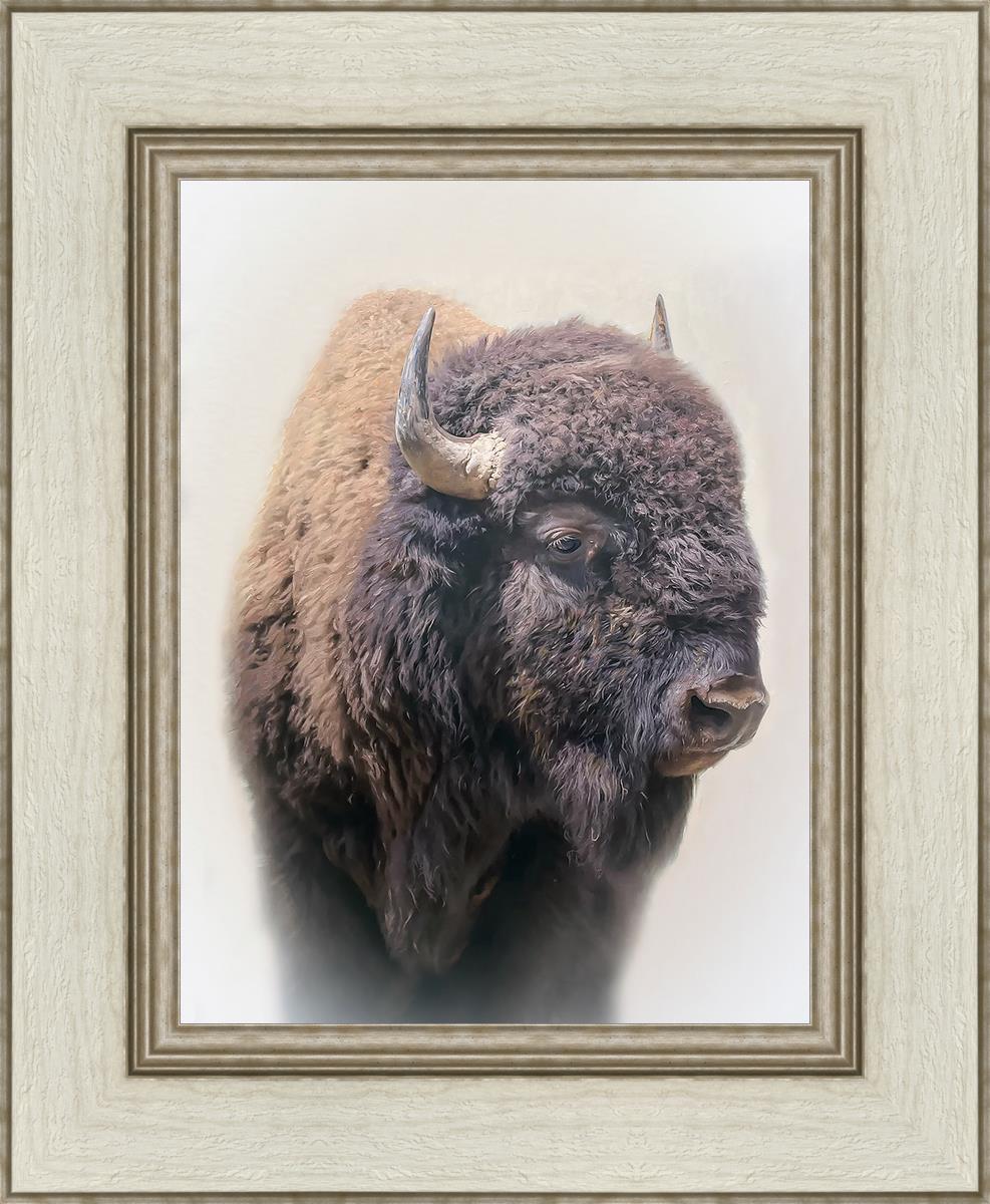 Bison By Matthew Grant | Premium Bison Meat & Jerky | High-Protein Snacks for Camping, Hiking & Outdoor Adventures
