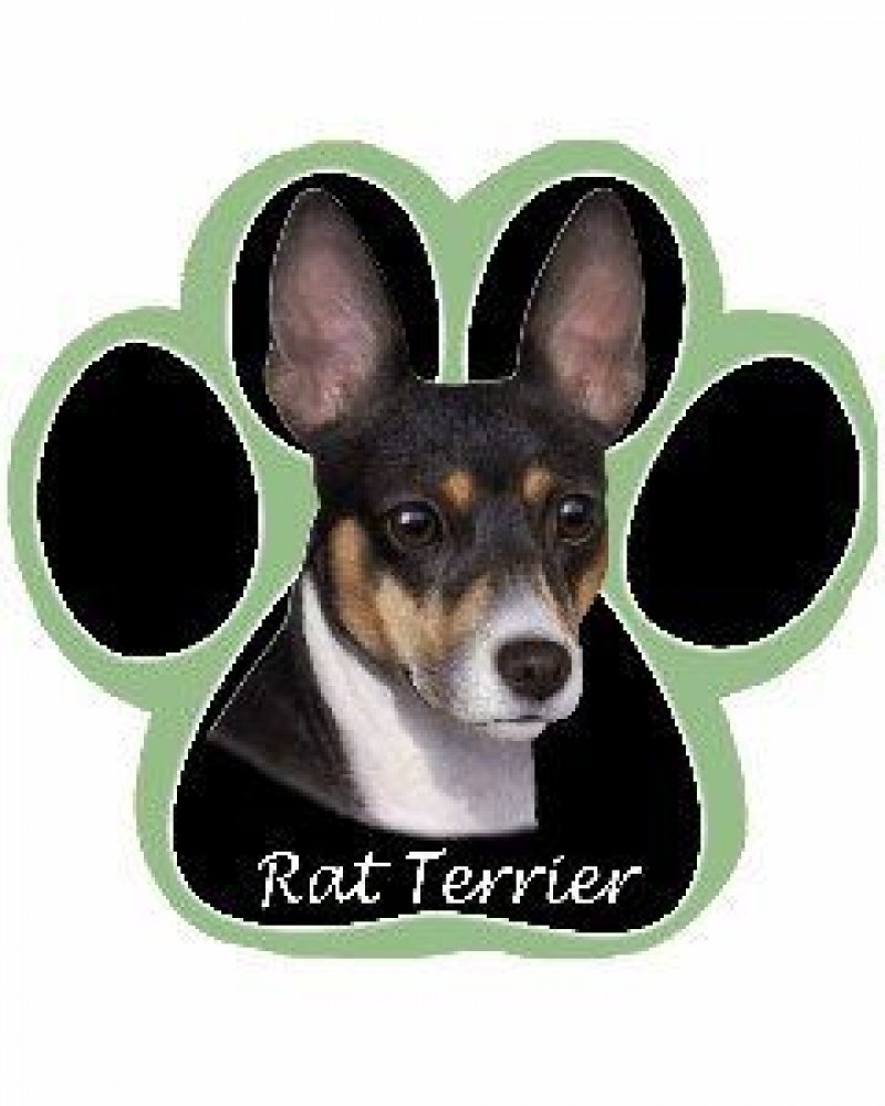 Non-Slip Paw-Shaped Mouse Pad for Rat Terrier Dog Lovers - Cute Pet-Themed Desk Accessory for Home & Office Workspaces