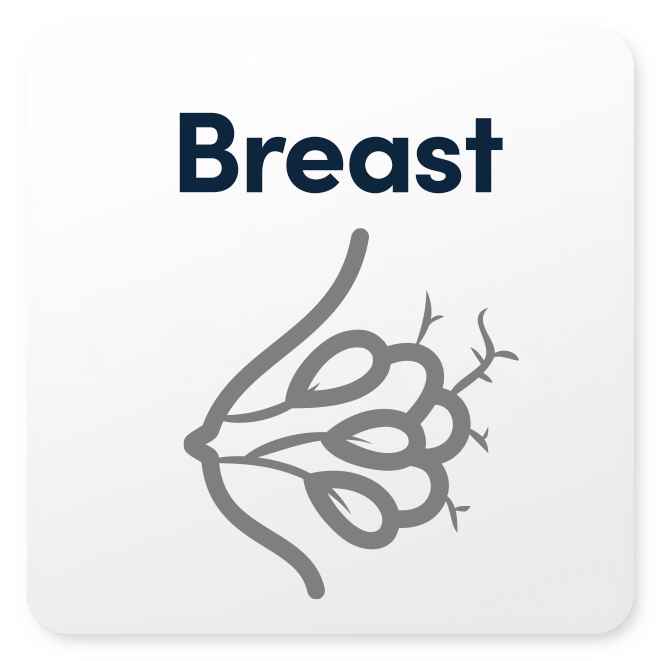 Premium Breast Enhancement Kit - Natural & Effective Breast Enlargement Solution for Women | Perfect for Post-Pregnancy, Weight Loss & Confidence Boosting