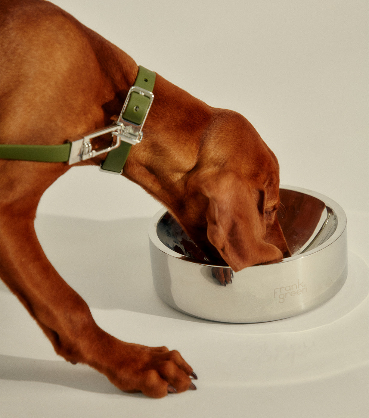Premium Stainless Steel Dog Bowl - Medium Size, Non-Slip Pet Food & Water Dish for Large Breeds - Ideal for Home, Travel & Outdoor Use