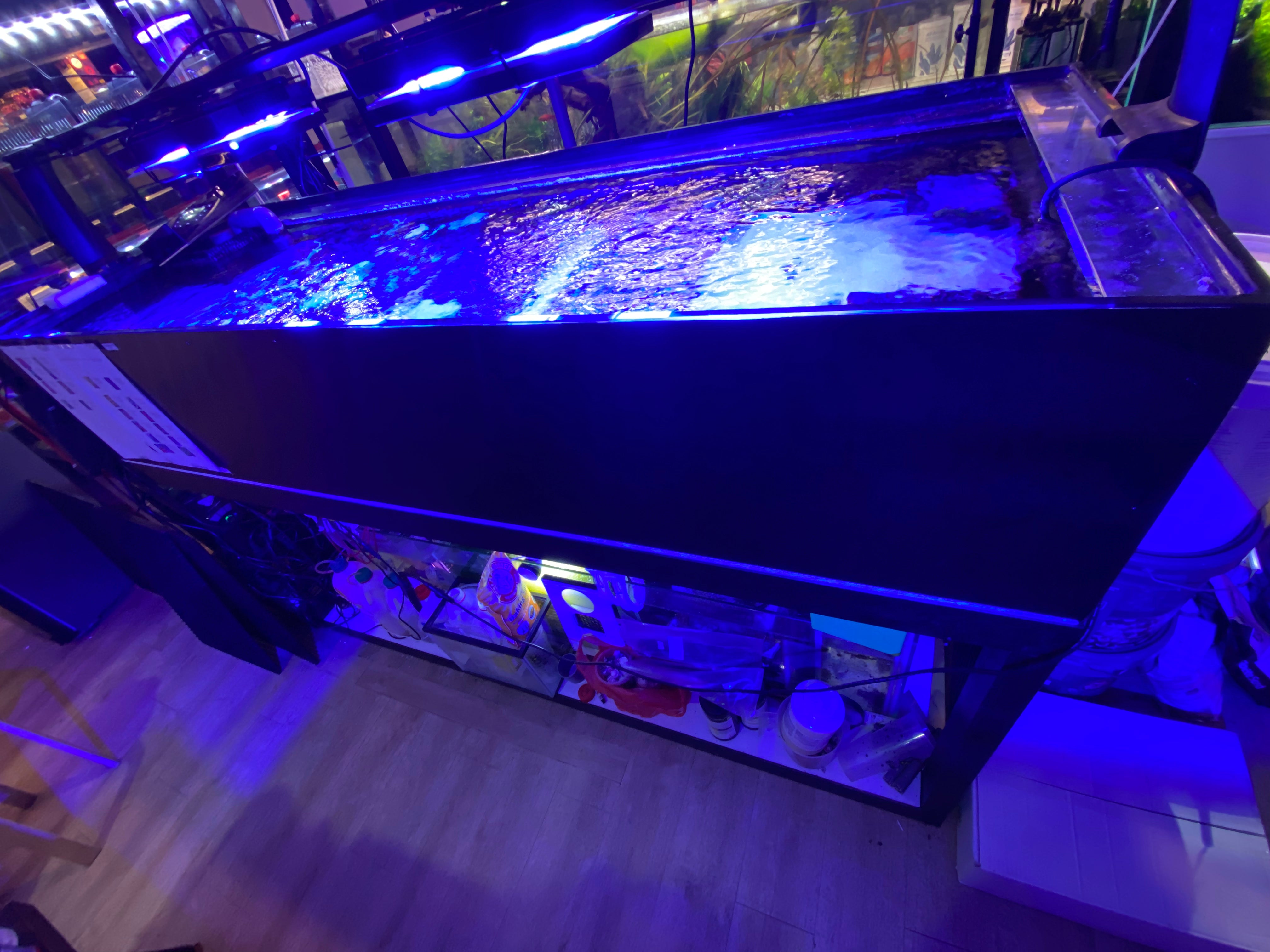 6 Feet Frag Tank with Sump & Piping System - Saltwater Coral Propagation Aquarium Setup for Reef Tanks & Marine Aquascaping