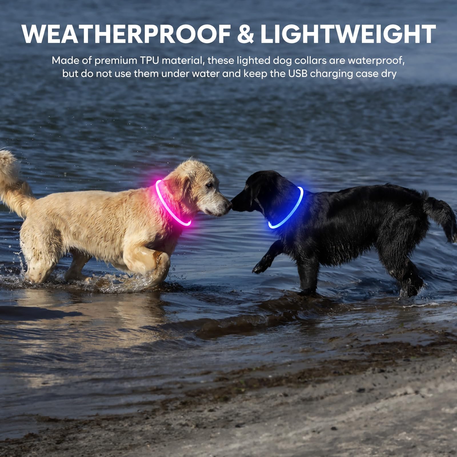 Waterproof Rechargeable LED Dog Collar - Glow in The Dark Adjustable TPU Pet Collar for Night Walking, Jogging & Safety | Light Up Dog Leash for Small Medium Large Dogs (Pink) - Perfect for Evening Walks, Camping & Outdoor Adventures