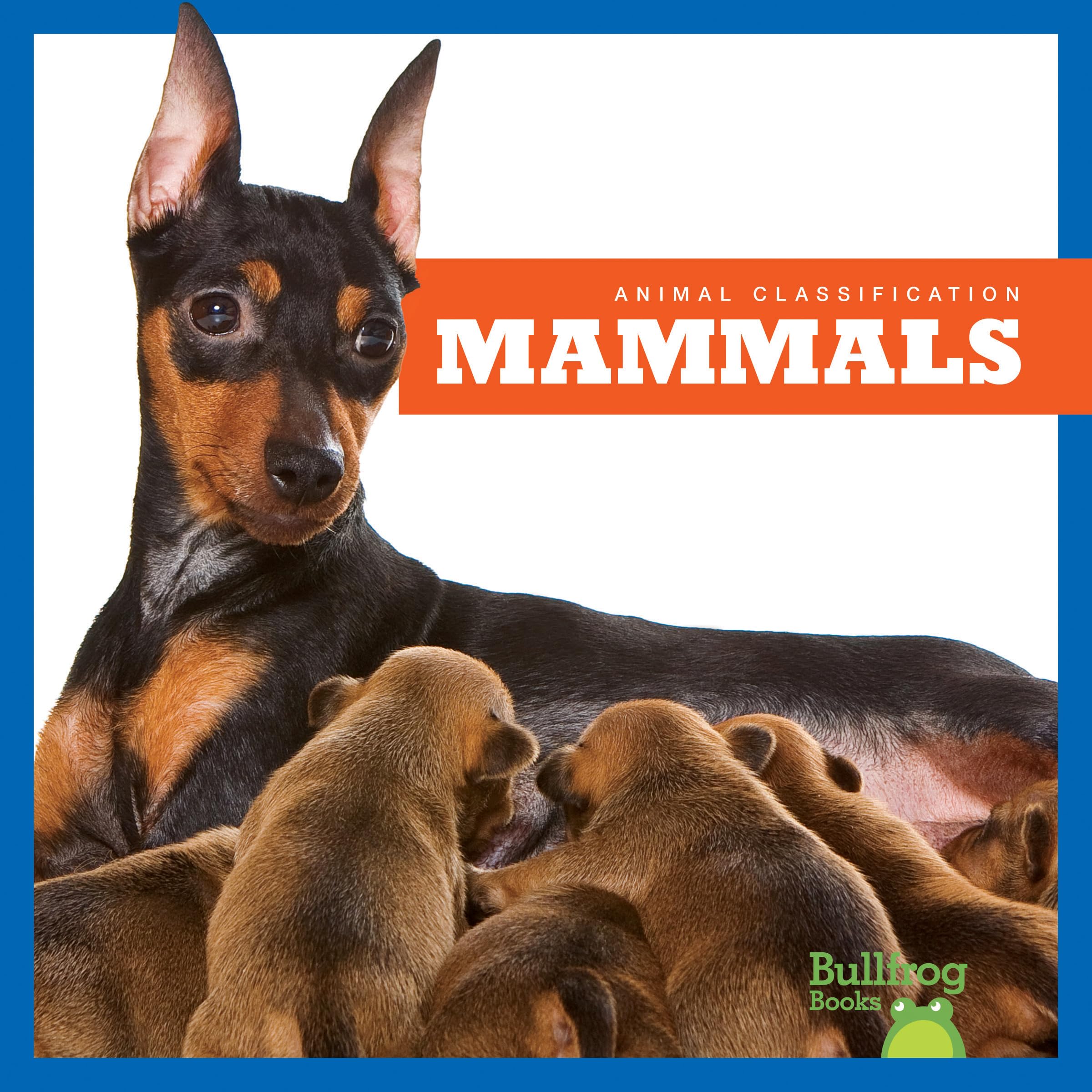 Bullfrog Books: Mammals Animal Classification for Kids Learning