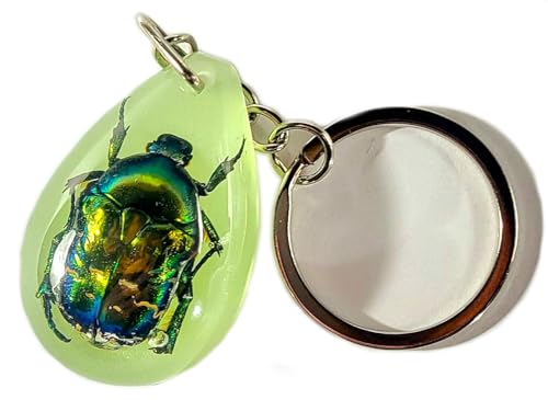 Rose Chafer British Beetle (Key Ring W/ Chain)
