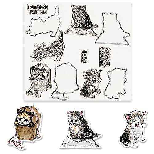 Cats