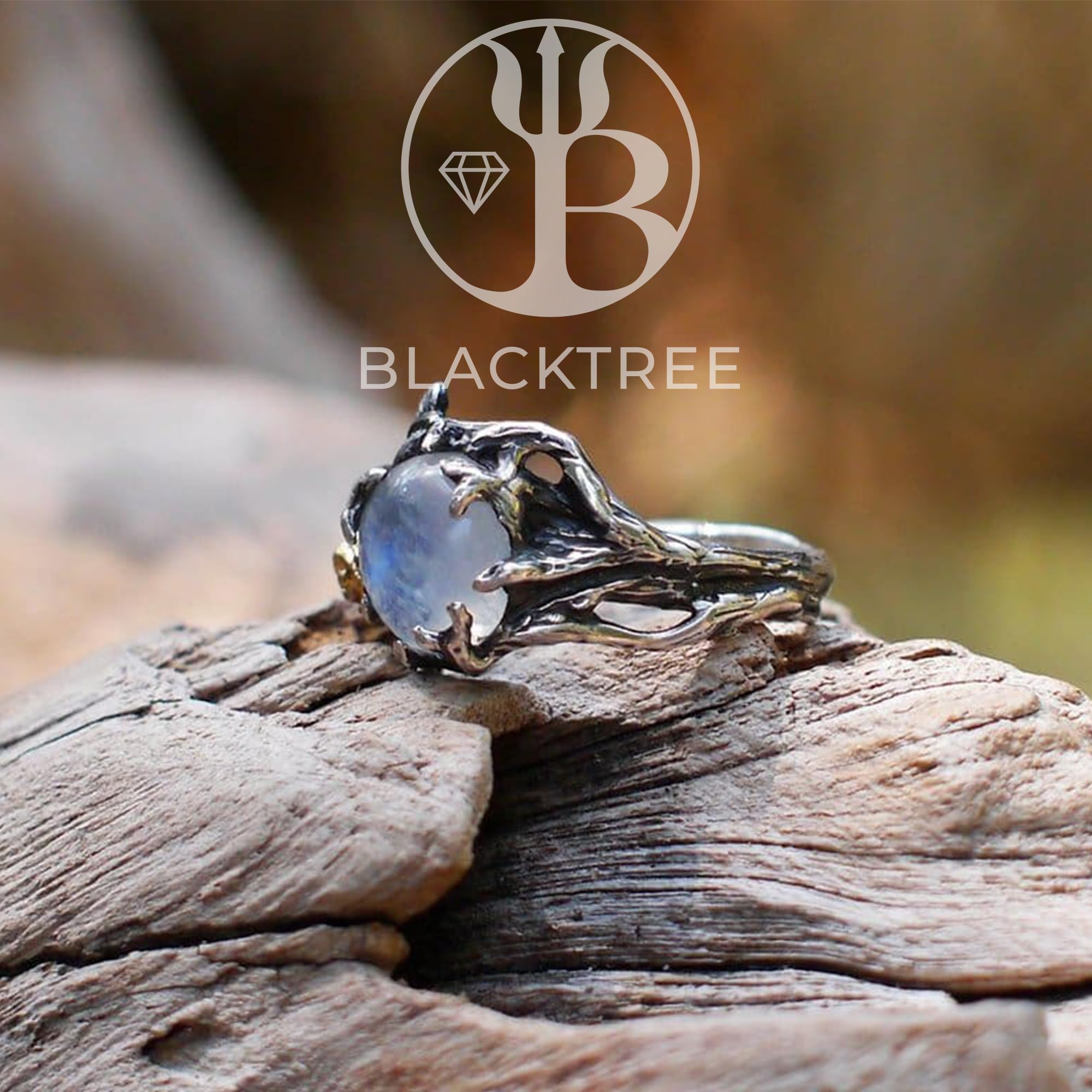 BlackTreeLab 