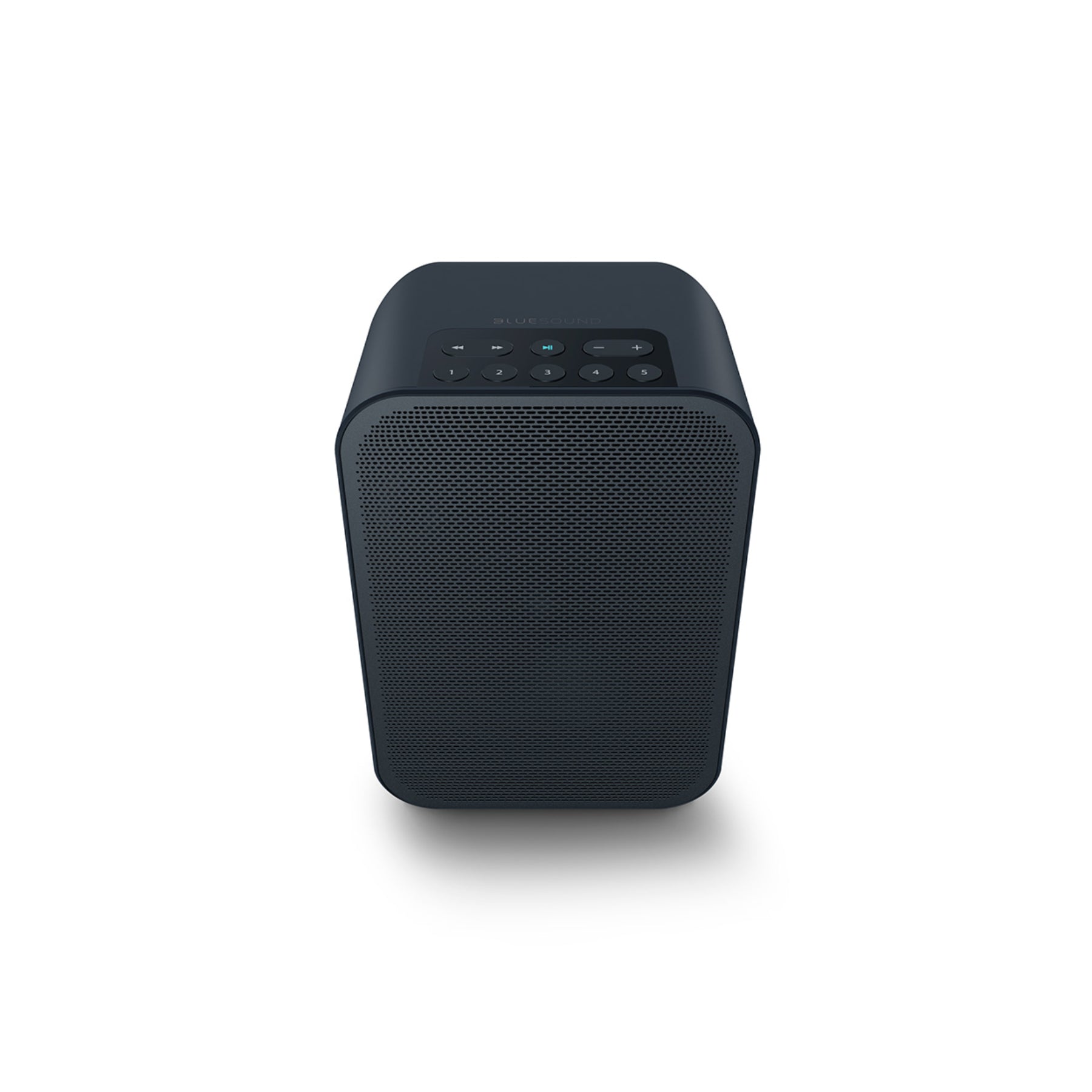 Bluesound PULSE FLEX 2i Portable Bluetooth Speaker - High-Quality Wireless Sound for Outdoor, Travel & Home Use