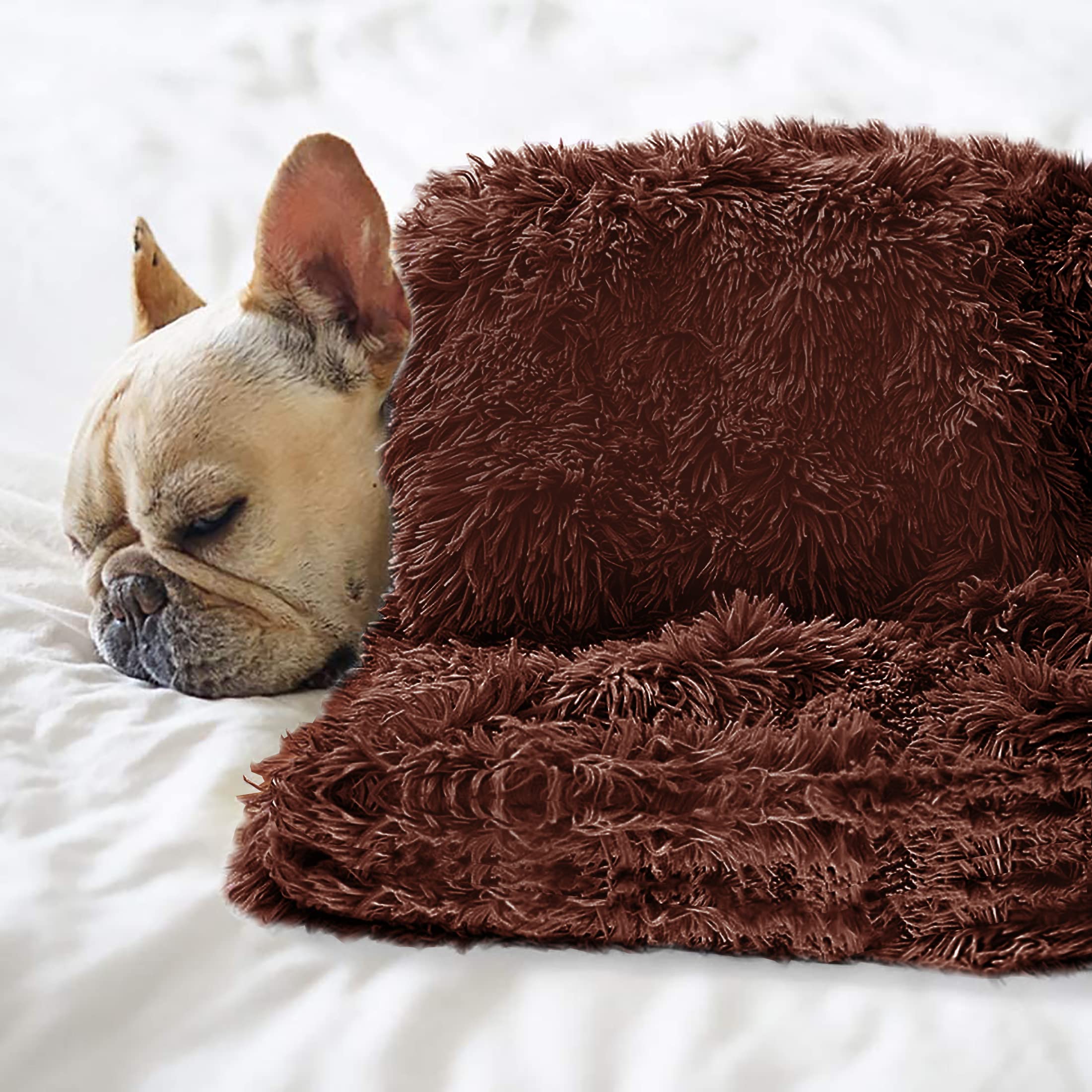 **Soft Fluffy Reversible Sherpa Dog Blanket for Pets - Cozy Fleece Throw for Dogs & Cats, Washable Lightweight Pet Bed Blanket for Bed, Couch, Sofa & Travel - Perfect for Puppies, Kittens & Small Pets (S, M, L, XL)**    *(Use Cases: Ideal for keeping your pet warm and comfortable at home, during travel, or while relaxing on the couch or bed.)*