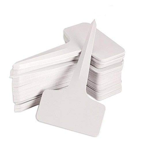 KINGLAKE 500 PCS 6x10cm Waterproof Reusable Plant Labels - T-Type Garden Markers, Nursery Tags & Plant Stakes for Indoor/Outdoor Gardening (Box of 500) - Perfect for Seedlings, Herbs, Vegetables & Flower Beds