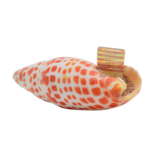 Handmade Seashell Spoon Pipe - Natural & Unique Smoking Accessory for Beach Lovers & Collectors | Perfect for Outdoor Adventures, Camping & Relaxation by the Shore