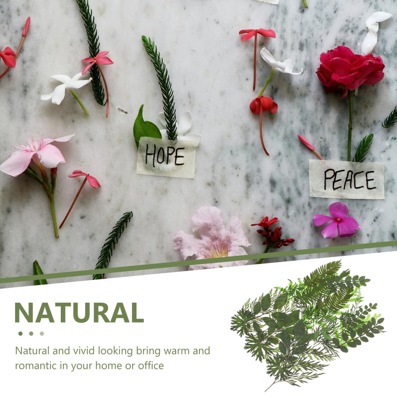 Artibetter Real Dried Pressed Leaves - 7 Natural Botanical Specimens for DIY Crafts, Candle Making, Scrapbooking, Wedding Invitations & Home Decor - Perfect for Nature-Inspired Art Projects (Style 1)