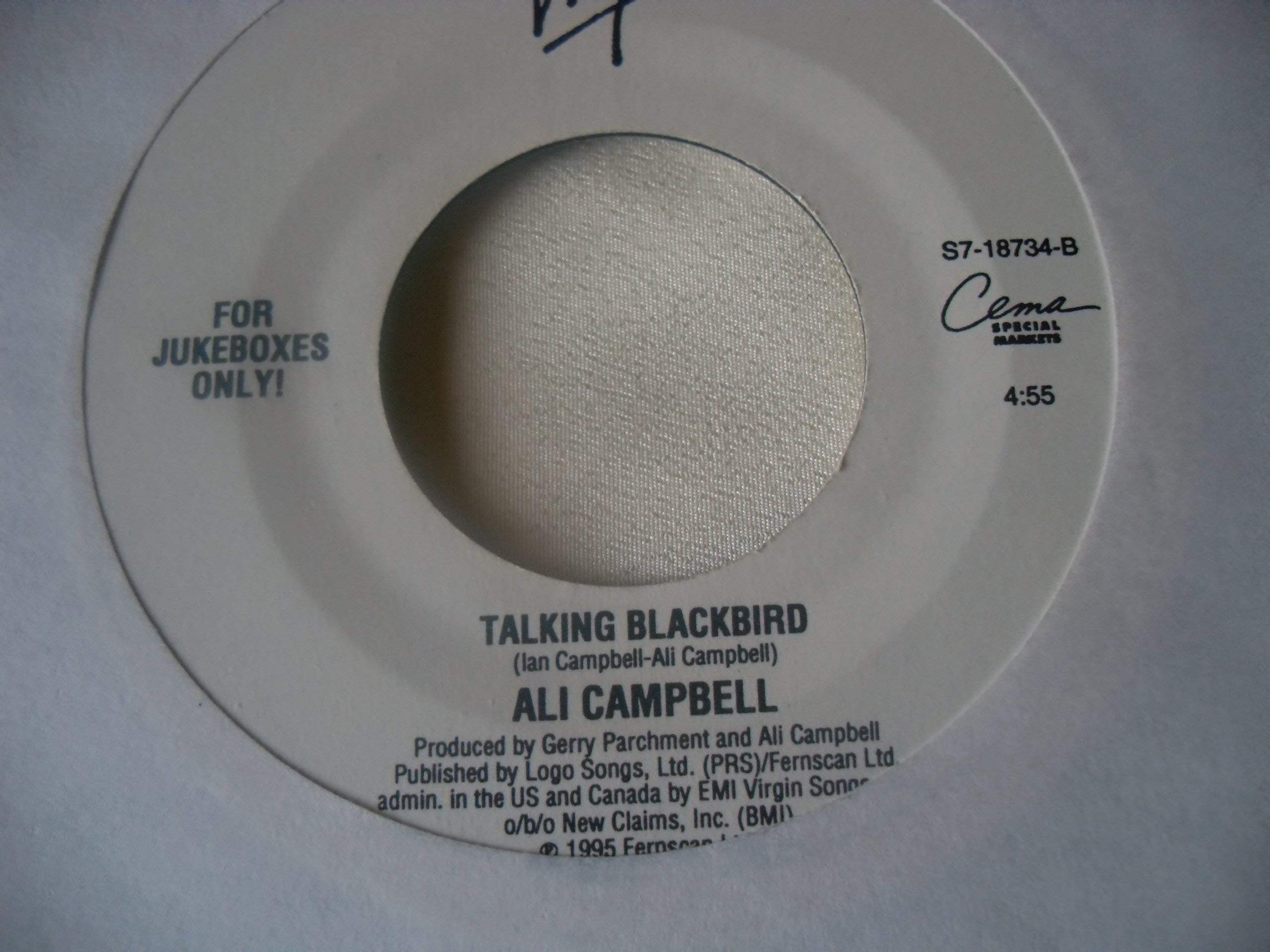 Ali Campbell 7
