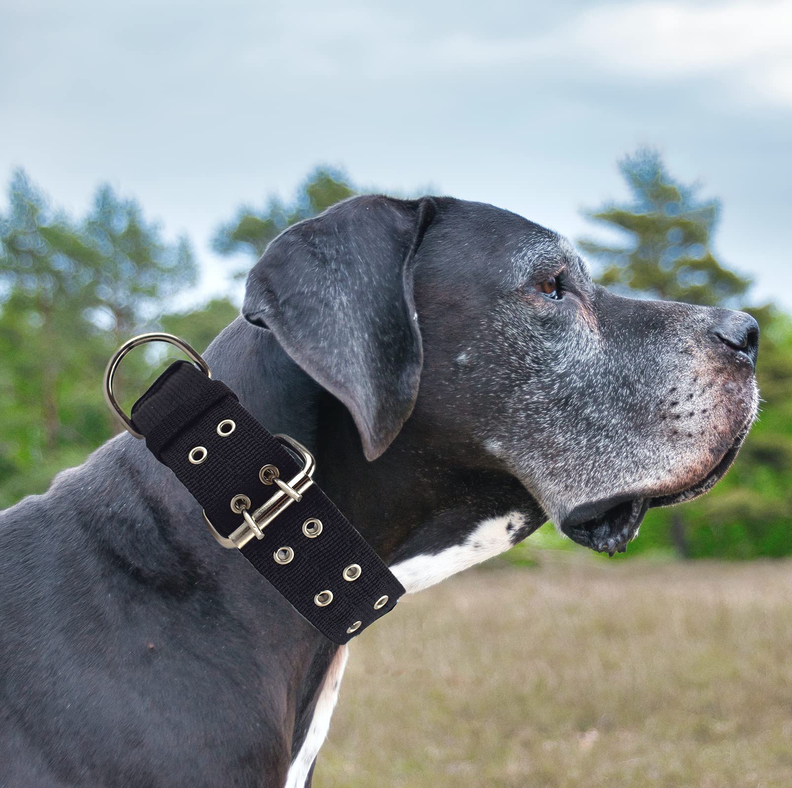 Military Adjustable Dog Collar - 1.5 Inch Wide Heavy Duty Nylon Tactical Collar with D Ring & Buckle for Large Dogs - Perfect for Training, Hiking, and Outdoor Adventures