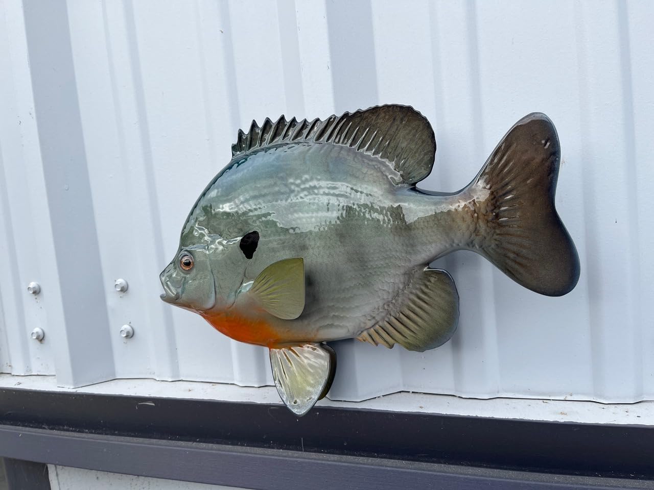 Bluegill Fish Wall Mount Replica - Lifelike Fishing Trophy & Coastal Home Decor for Living Room, Cabin, or Office