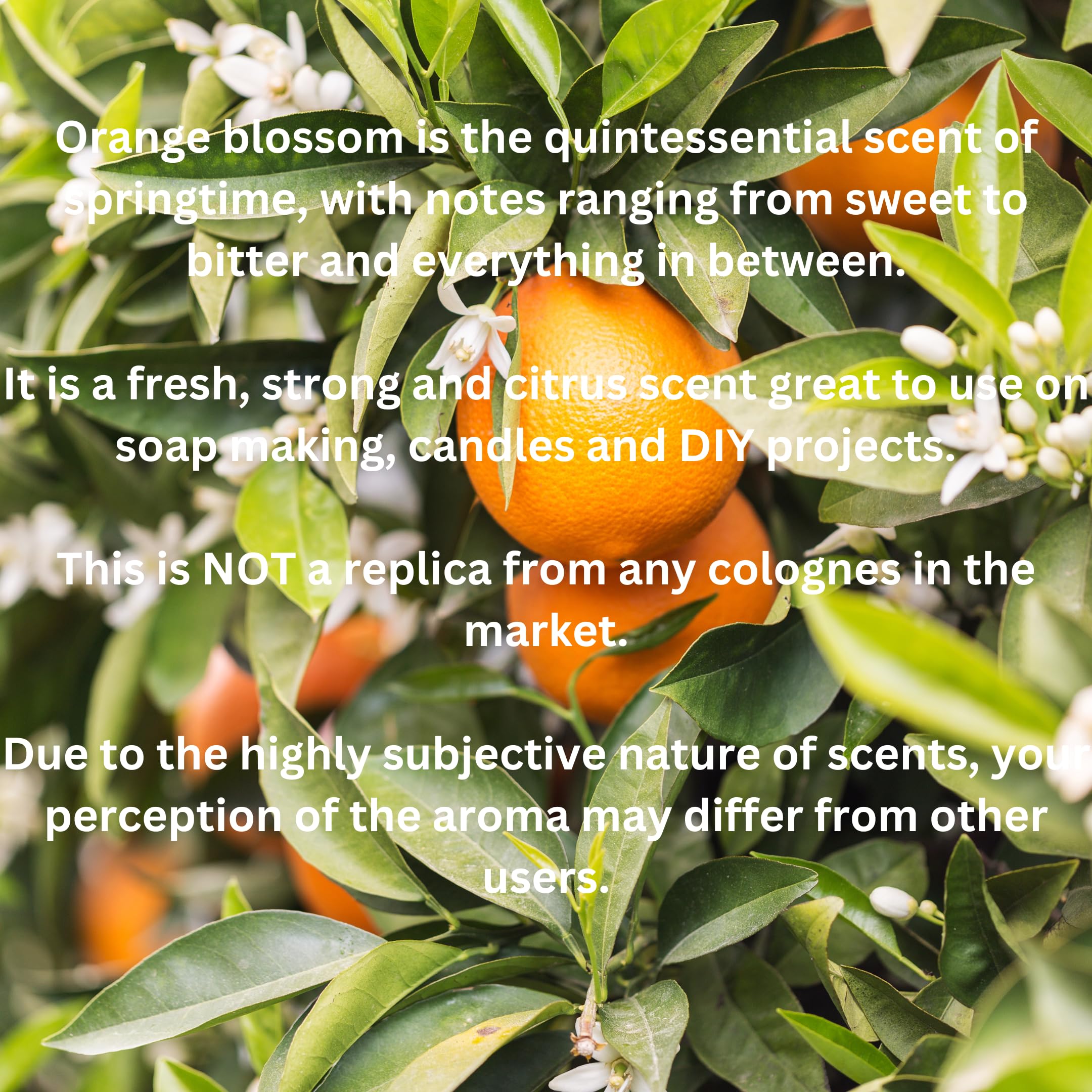 Premium Orange Blossom Fragrance Oil - 2oz (60ml) for Candle Making, Soap Making & Aromatherapy | Home Scented Oil for Diffusers, Bath Bombs & DIY Crafts | Relaxing Floral Aroma for Spa, Yoga & Meditation