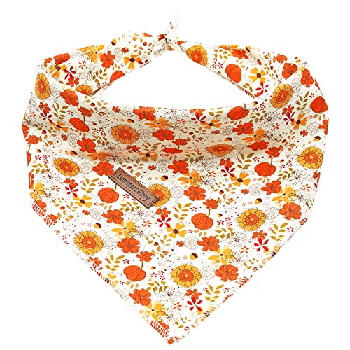 A:Pumpkin and flower