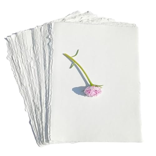 Size-6-( Pack of 100 )