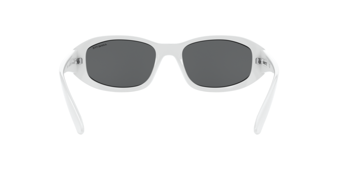 Arnette Lizard AN4266 262487 Sunglasses - Polarized Sports & Outdoor Shades for Men & Women - Perfect for Running, Cycling, and Beach Activities