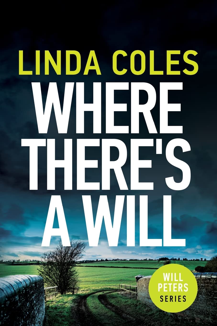 Where There's a Will: A Gripping British Crime Thriller Novel by Will Peters | Perfect for Mystery Lovers & Book Club Discussions