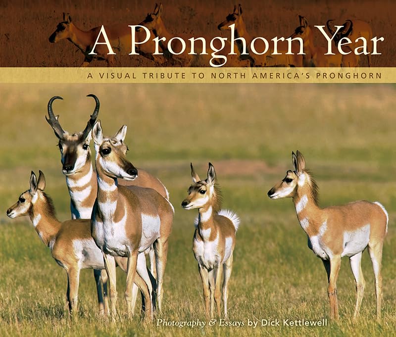 Pronghorn Year: A Visual Tribute to North America's Pronghorn - Stunning Wildlife Photography Book for Nature Lovers, Perfect for Home Decor & Gifts