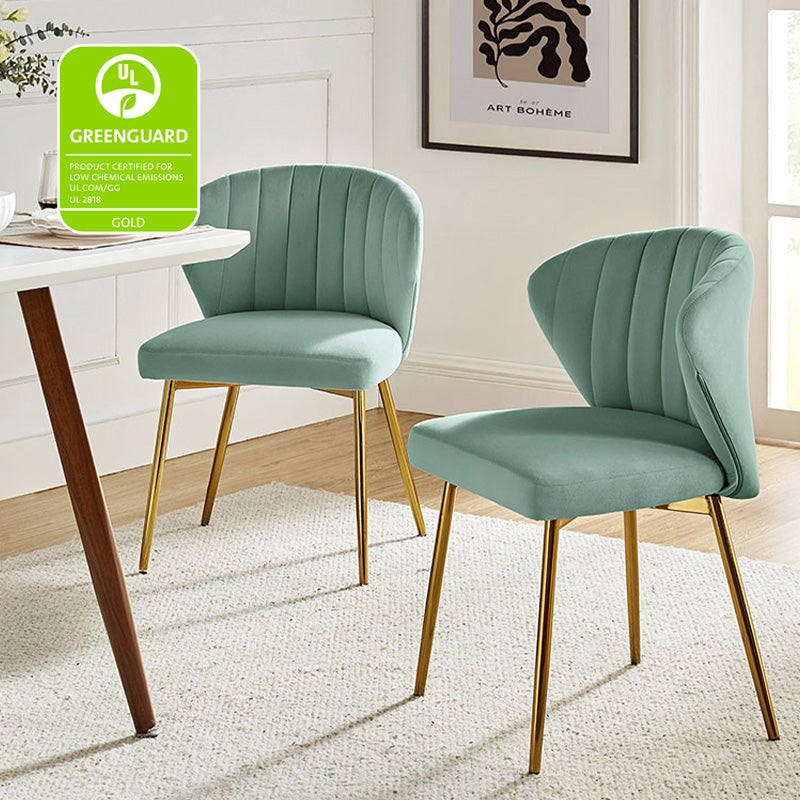 Aruna Side Chair Set - Modern Dining Chairs for Kitchen, Living Room & Office - 2-Piece Wooden Accent Chairs with Cushion - Perfect for Small Spaces, Breakfast Nook & Home Decor