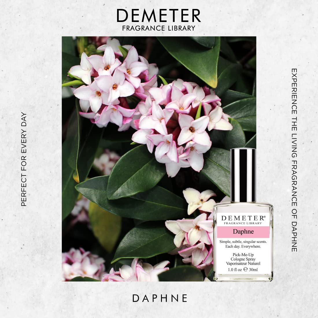 DEMETER Daphne Perfume for Women - 1 oz Cologne Spray | Floral Fragrance, Long-Lasting Scent | Perfect for Daily Wear, Office & Romantic Dates