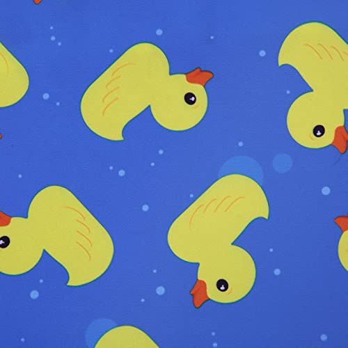 A. Ducks