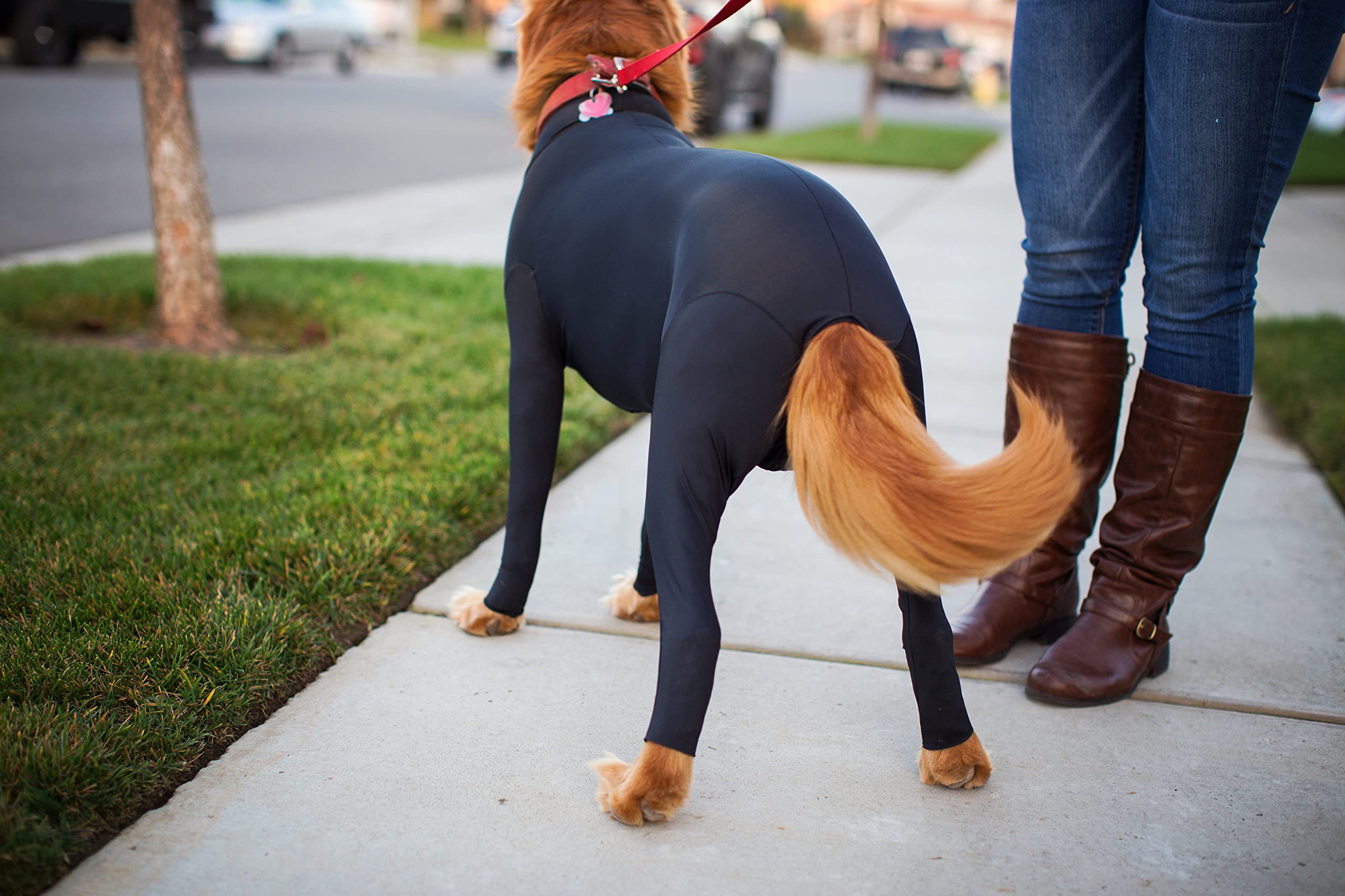 Shed Defender Original Dog Onesie - Shark Tank Featured, Anti-Shedding Dog Bodysuit, USA Designed Pet Recovery Suit for Post-Surgery, Anxiety Relief & Hot Spot Protection - Vet Approved Calming Shirt for Dogs (Perfect for Grooming, Travel & Allergy Season)