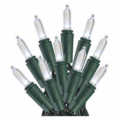 Staylit Mini 100-Light Cool White LED String Lights with Green Wire - 12 Pack for Christmas Tree, Party, Wedding & Home Decoration