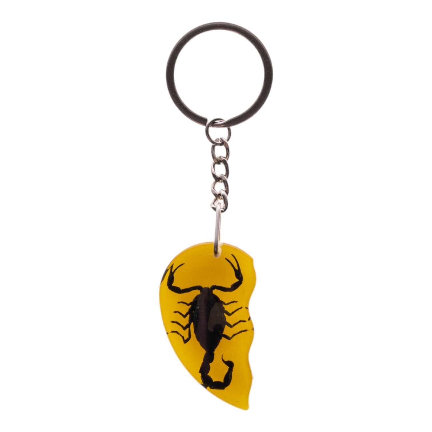 Real Scorpion Encased in Acrylic Friendship Keychain - Unique Gift for Best Friends, Couples & Adventurers | Perfect for Backpacks, Key Rings & Travel Accessories
