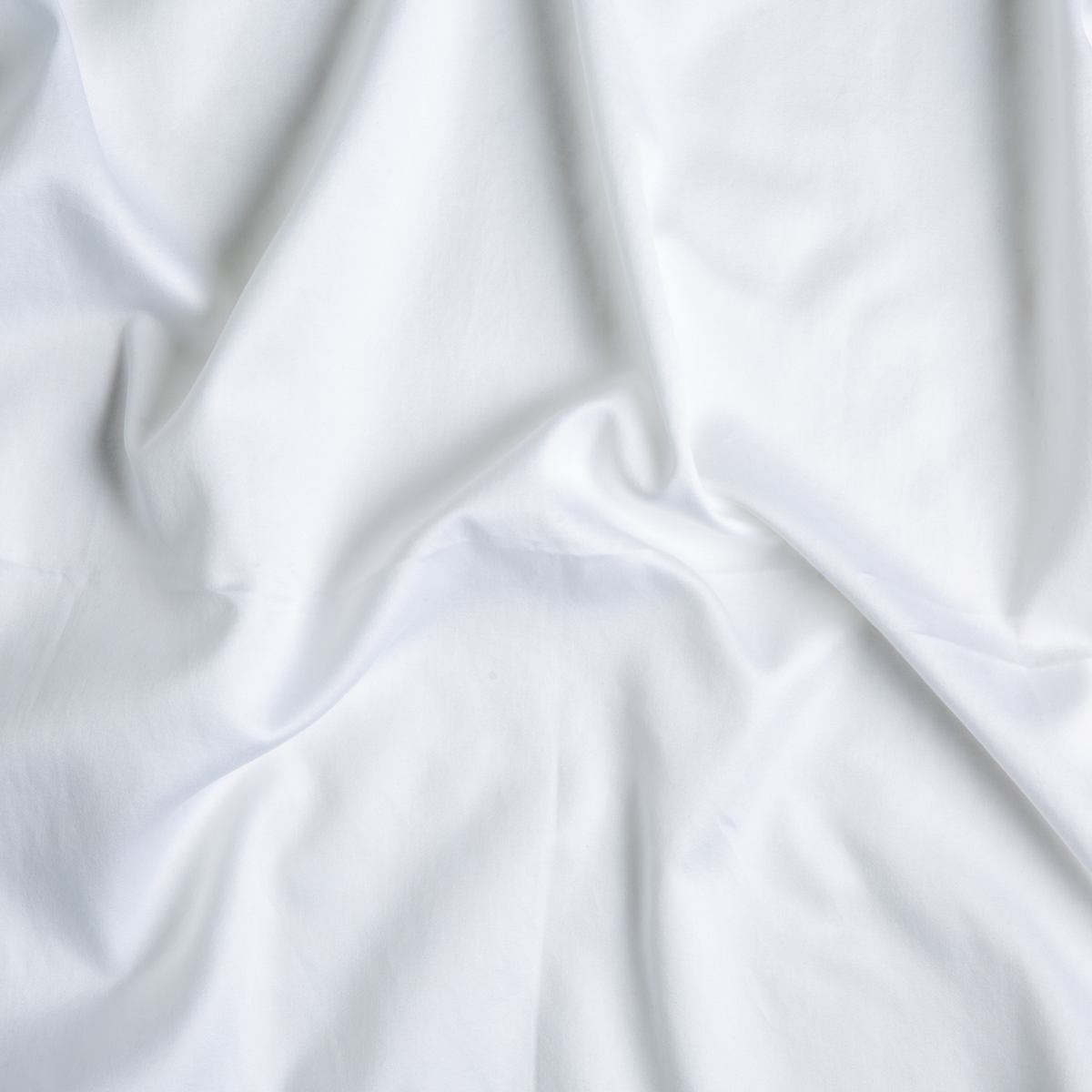 White (01)