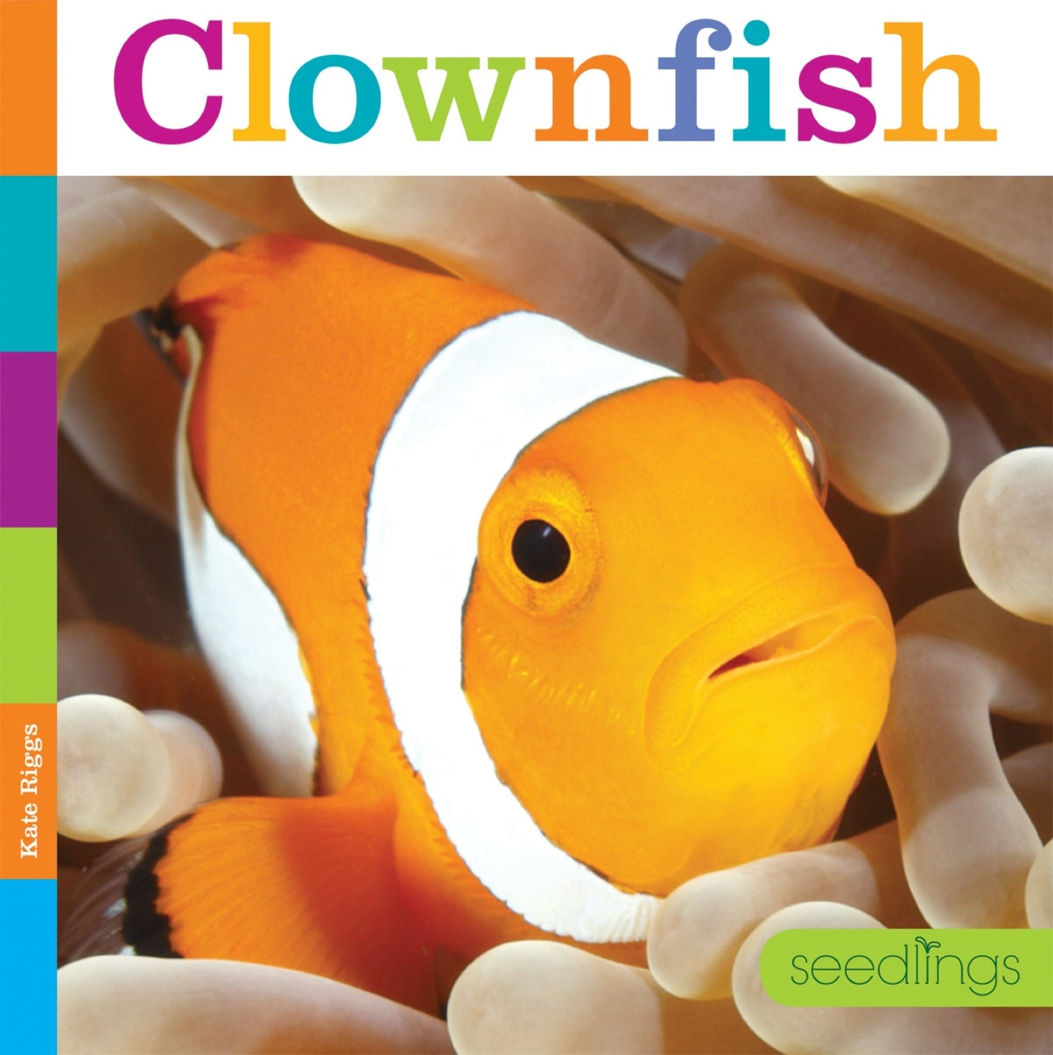 Clownfish Book - ISBN 9781608187775 - Perfect for Marine Life Enthusiasts & Classroom Learning