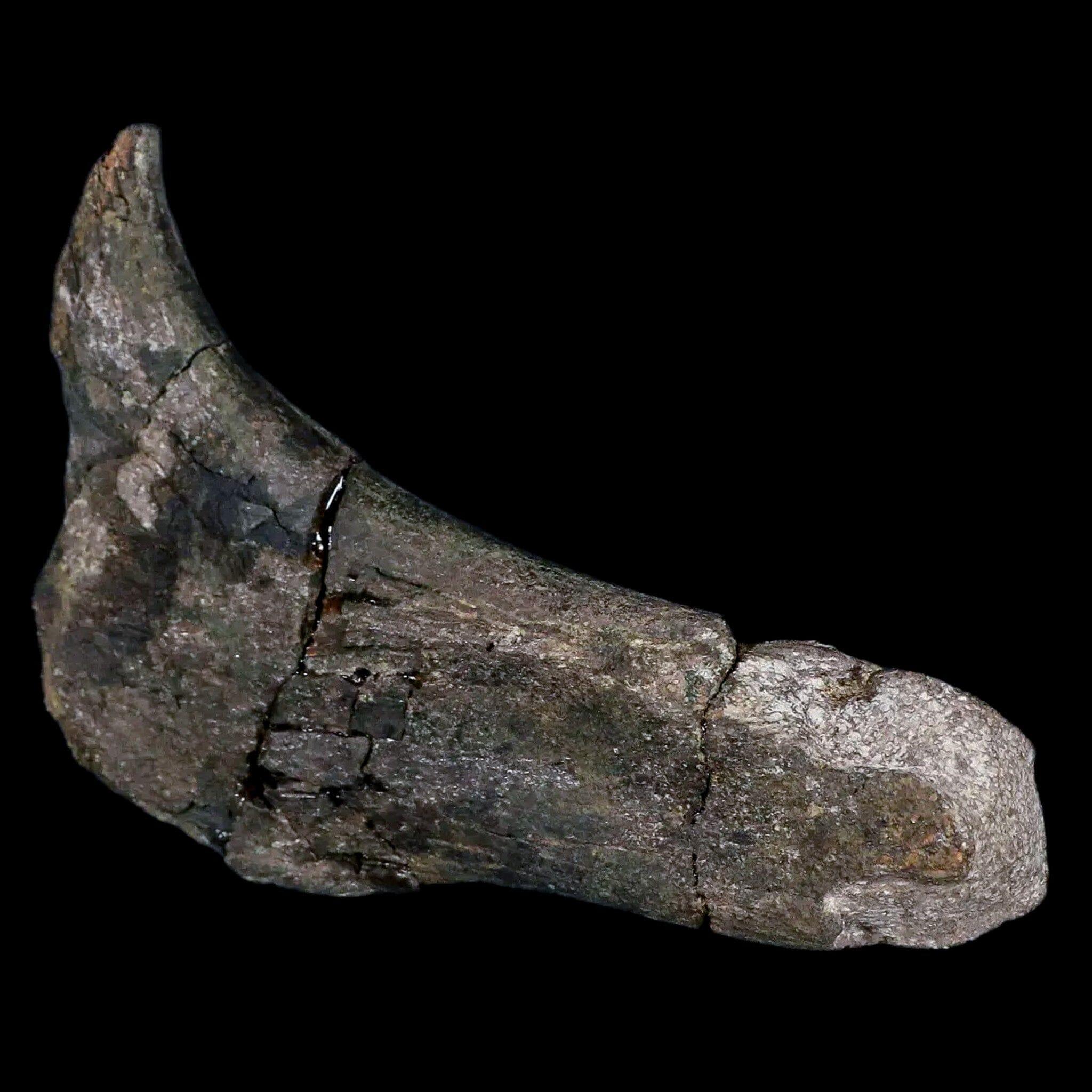 5.1