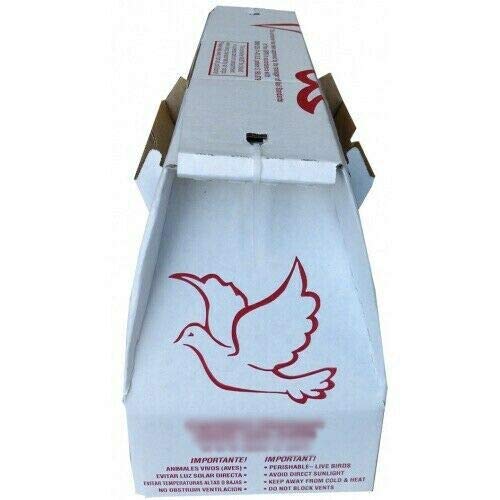 USPS Approved Live Bird Shipping Boxes for Chickens, Poultry & Gamefowl - Economy Size Pack of 1 | Safe Transport for Hatchery, Farm & Show Birds