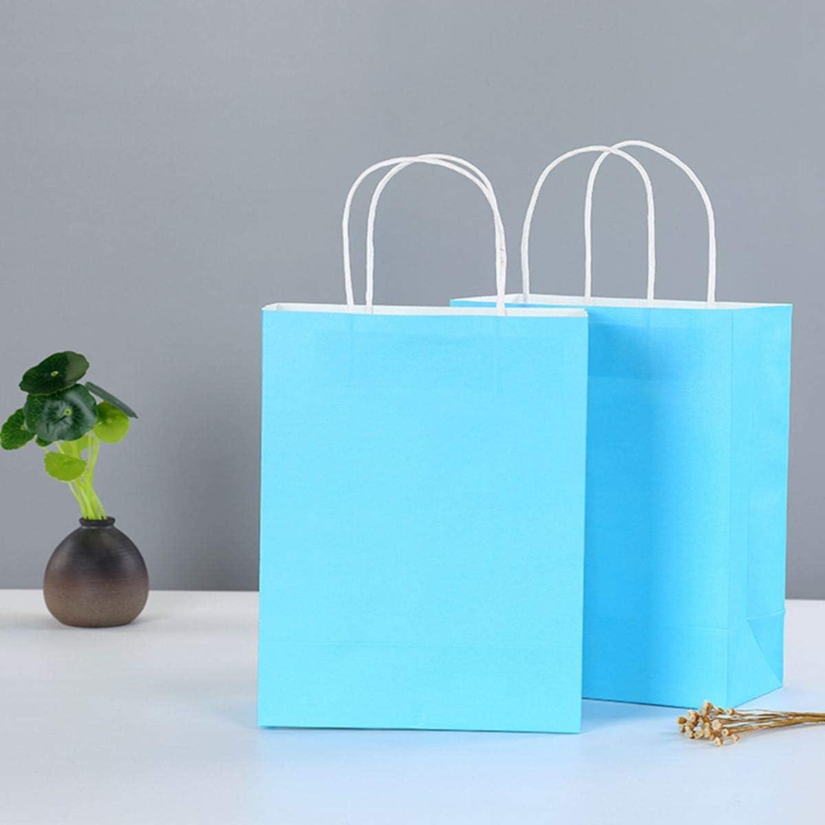 24-Piece Rainbow Kraft Paper Gift Bags with Handles - 8.6
