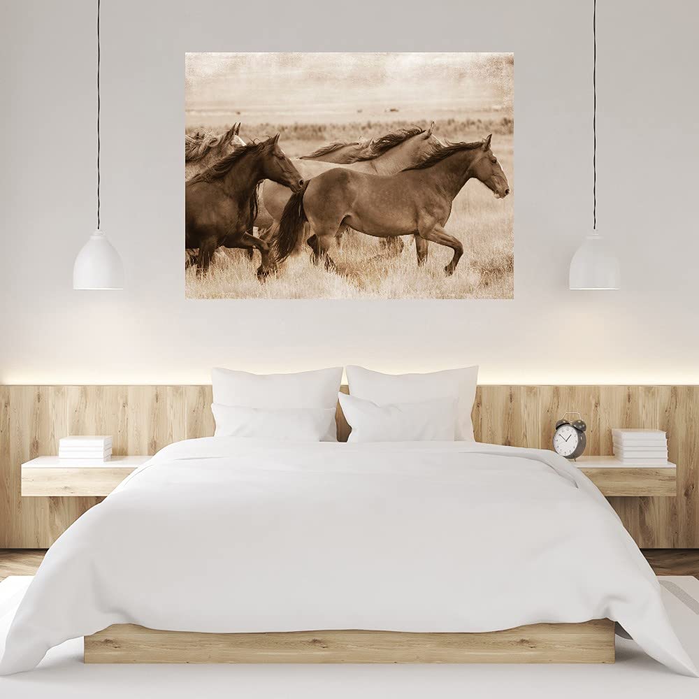 Georgianna Lane Fine Art Canvas Wall Decor - Ready to Hang 46x35 Inch - Perfect for Living Room, Bedroom, Bathroom, Kitchen, Office, Bar & Dining Room - Elegant Home & Office Wall Art for Modern Interior Design