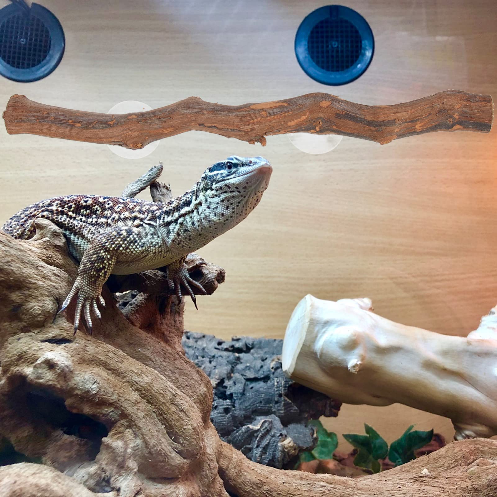 Premium Reptile Climbing Branch - Natural Terrarium Decor with Suction Cups for Lizards, Snakes & Geckos | Perfect for Habitat Enrichment & Vertical Climbing Space in Reptile Tanks