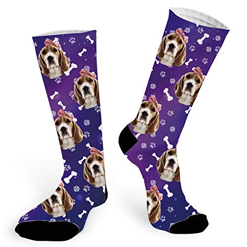 Starry Sky Dog