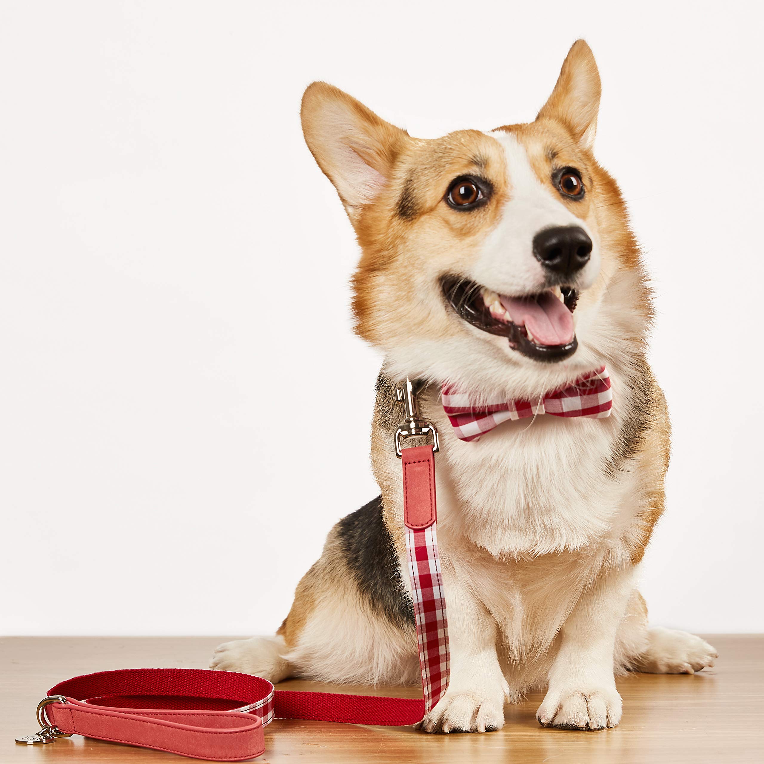 United Pups Red Gingham Plaid Dog Collar with Bow Tie & Matching Leash - Large Size for Medium to Large Dogs | Perfect for Pet Weddings, Photo Shoots & Special Occasions