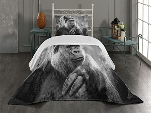 Dimgray Charcoal